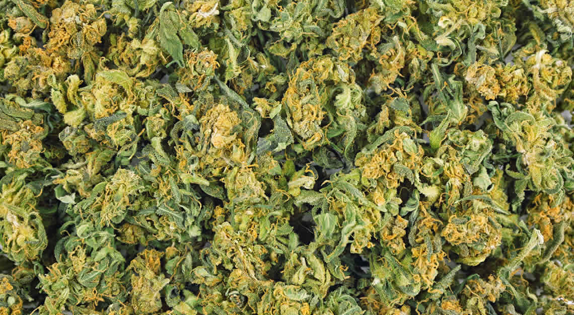 marijuana in arizona